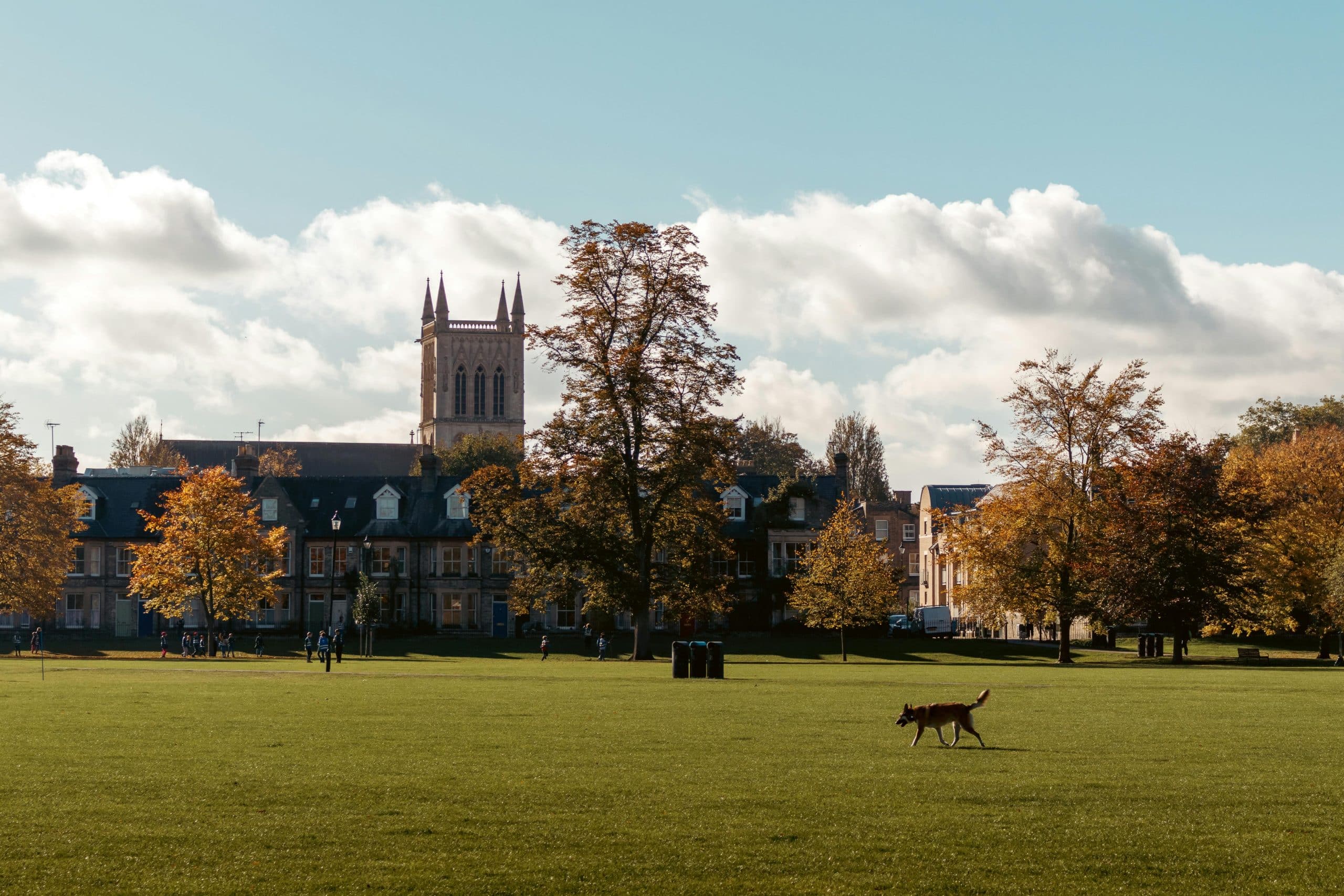 Cambridge – Programme Pré-universitaire